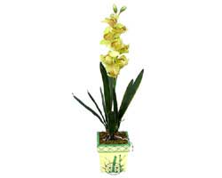 zel Yapay Orkide Sari  Antalya online iek yolla , iek gnder , ieki  