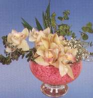  Antalya online iek maazas , ieki adresleri  Dal orkide kalite bir hediye