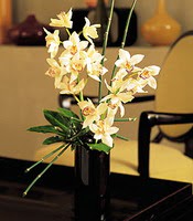  Antalya online iekiler  cam yada mika vazo ierisinde dal orkide
