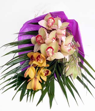 Antalya online cicekciler , cicek siparisi  1 adet dal orkide buket halinde sunulmakta