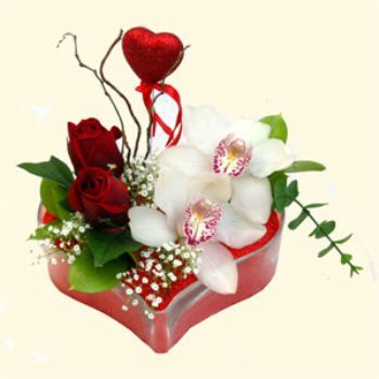  Antalya online hediye sevgilime hediye iek  1 kandil orkide 5 adet kirmizi gl mika kalp