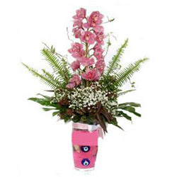  Antalya online hediye iek yolla  cam yada mika vazo ierisinde tek dal orkide iegi
