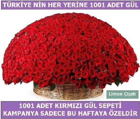 1001 Adet krmz gl Bu haftaya zel  Antalya online Melisa nternetten iek siparii 